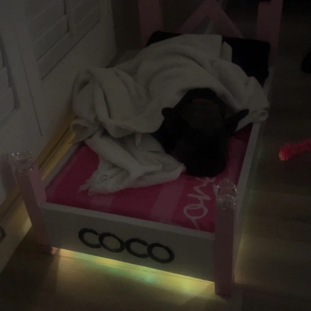 COCO is not for sale! However, the bed can be customized you. Starting at 300.00